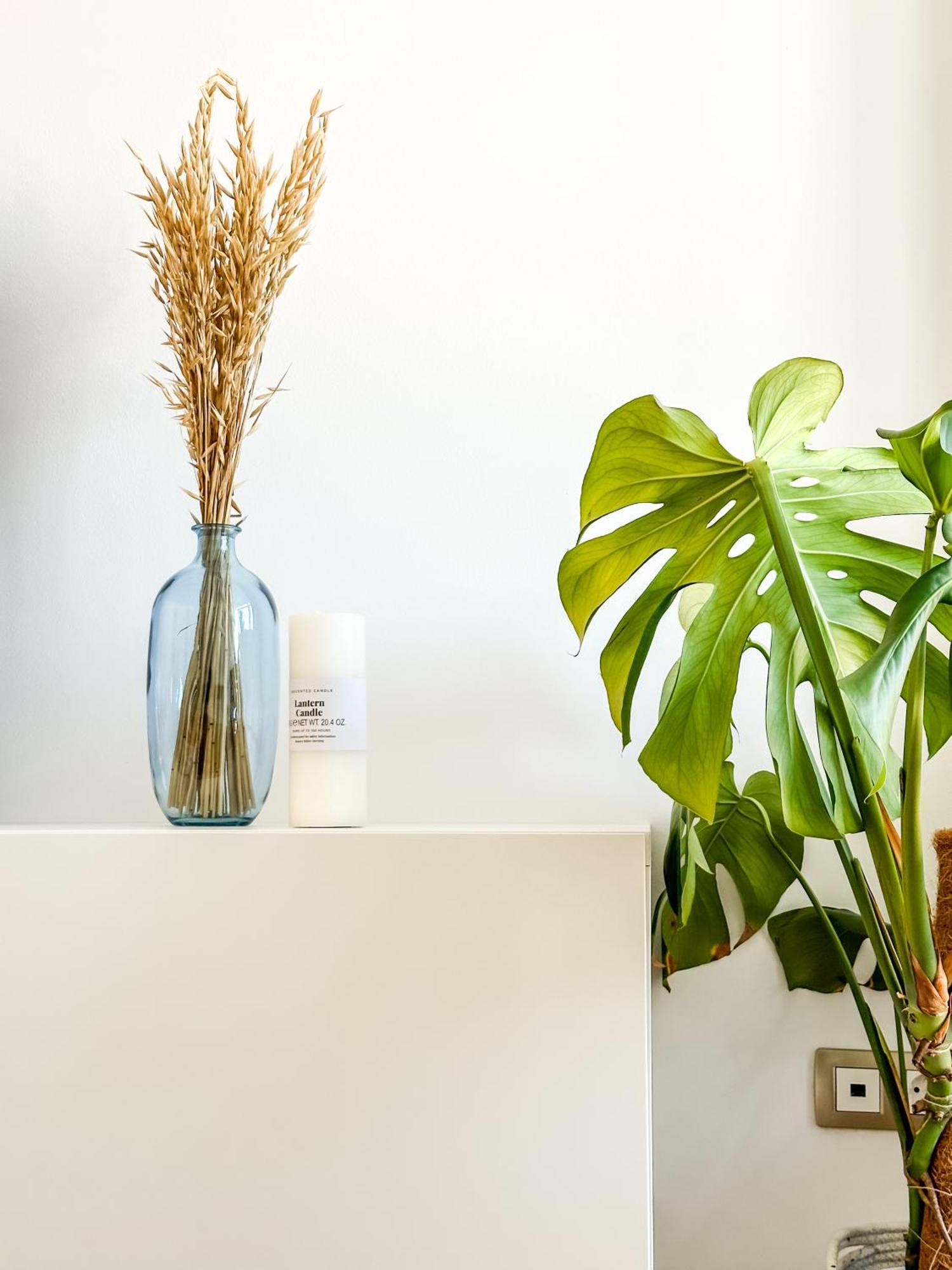 Luar By Aloga Apartment Cee